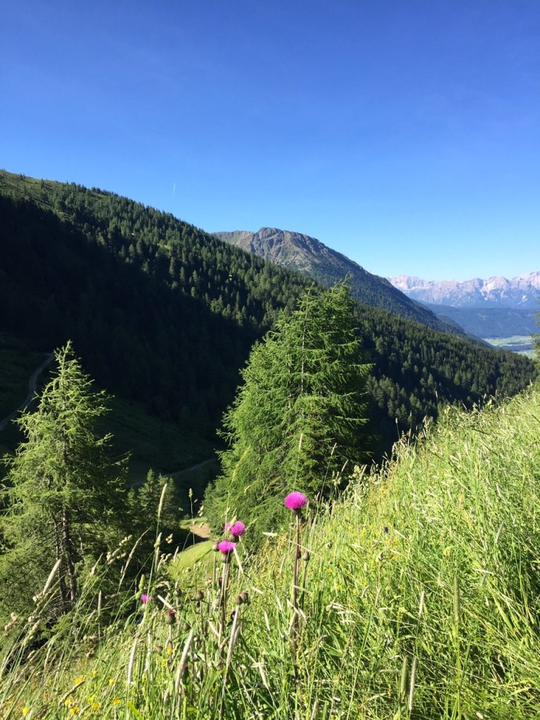 Postkartenidylle Gsiesertal