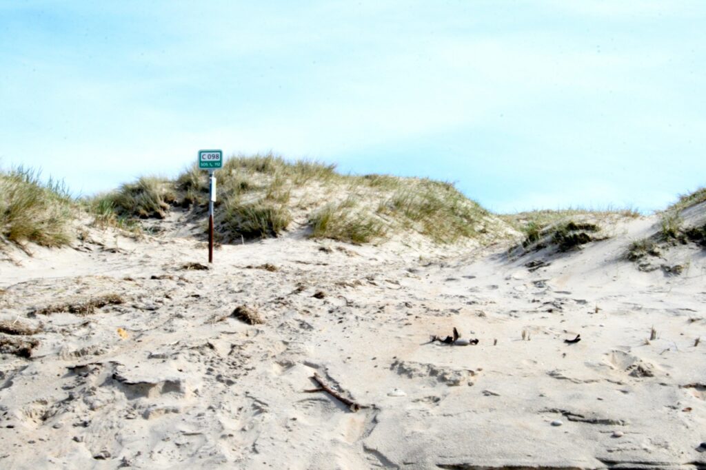 Strand und Duenen