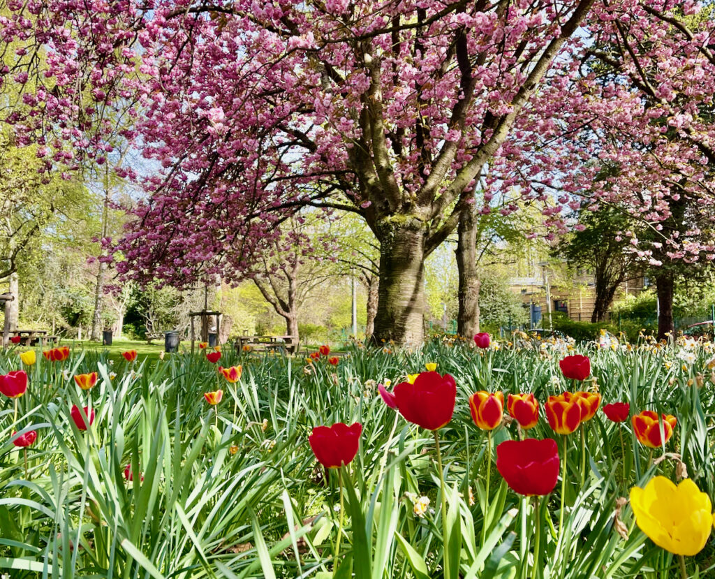 Botanische Garten Lille