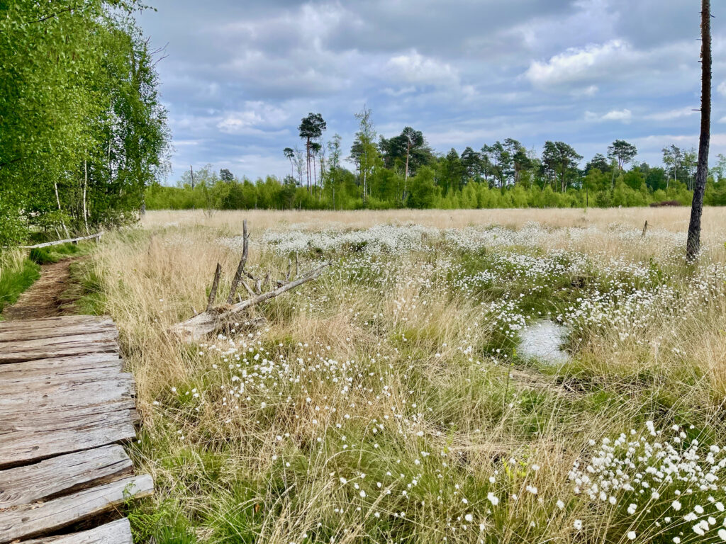 Tagesausflug Niedersachsen