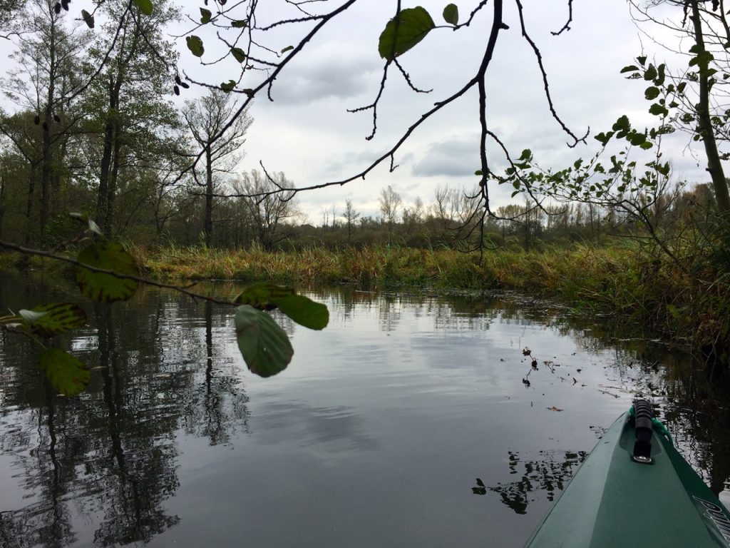 Spreewald Natur - unterwegs in der Natur