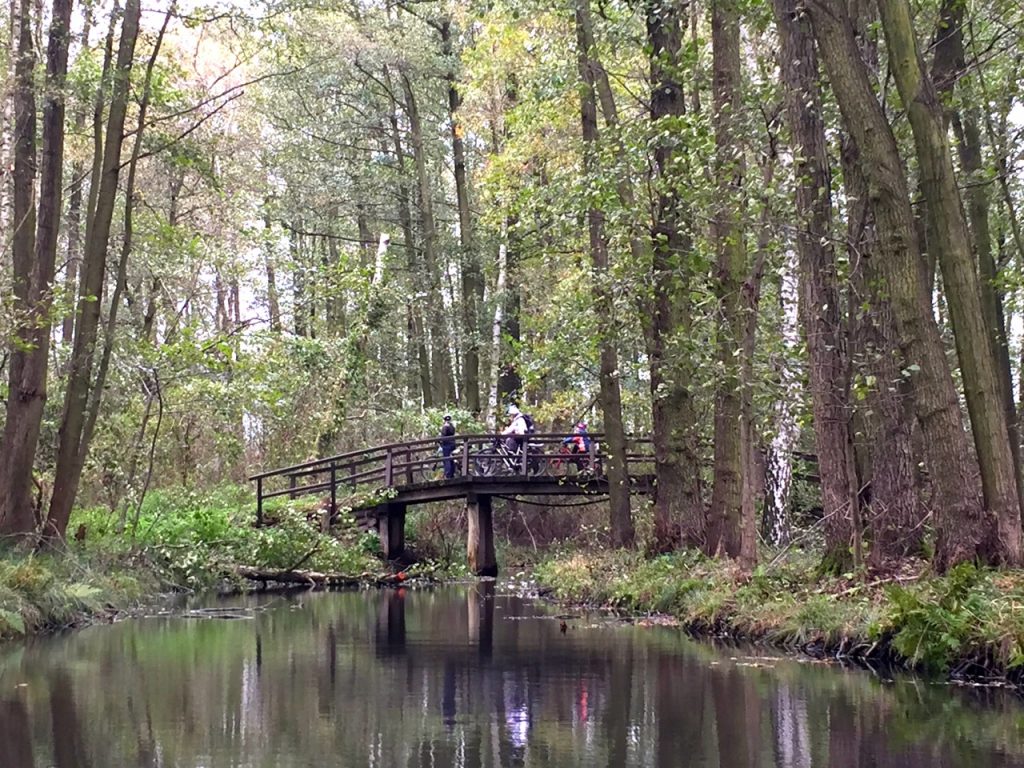 Spreewald Urlaub mit Kind - hat uns der Spreewald ueberzeugt?