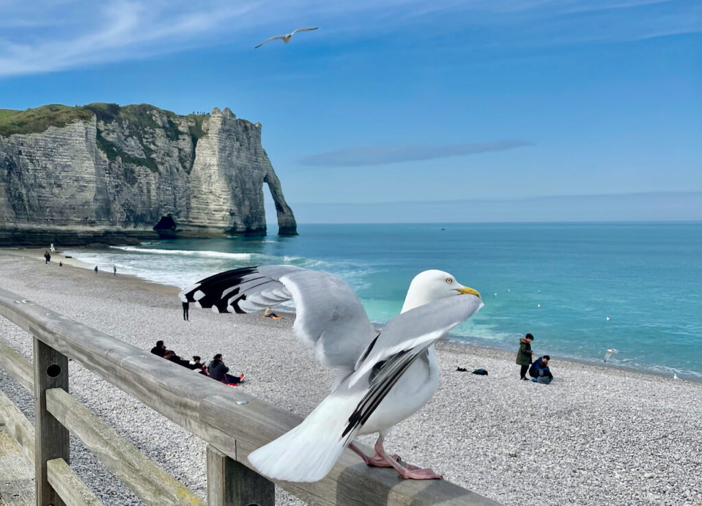 Etretat Strand