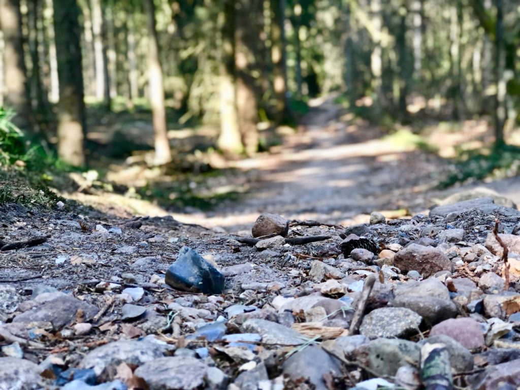 Wandern im Rosengarten Hamburg