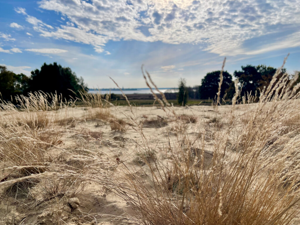 Sehenswuerdigkeiten Stettiner Haff Duenen und Naturstrand bei Altwarp