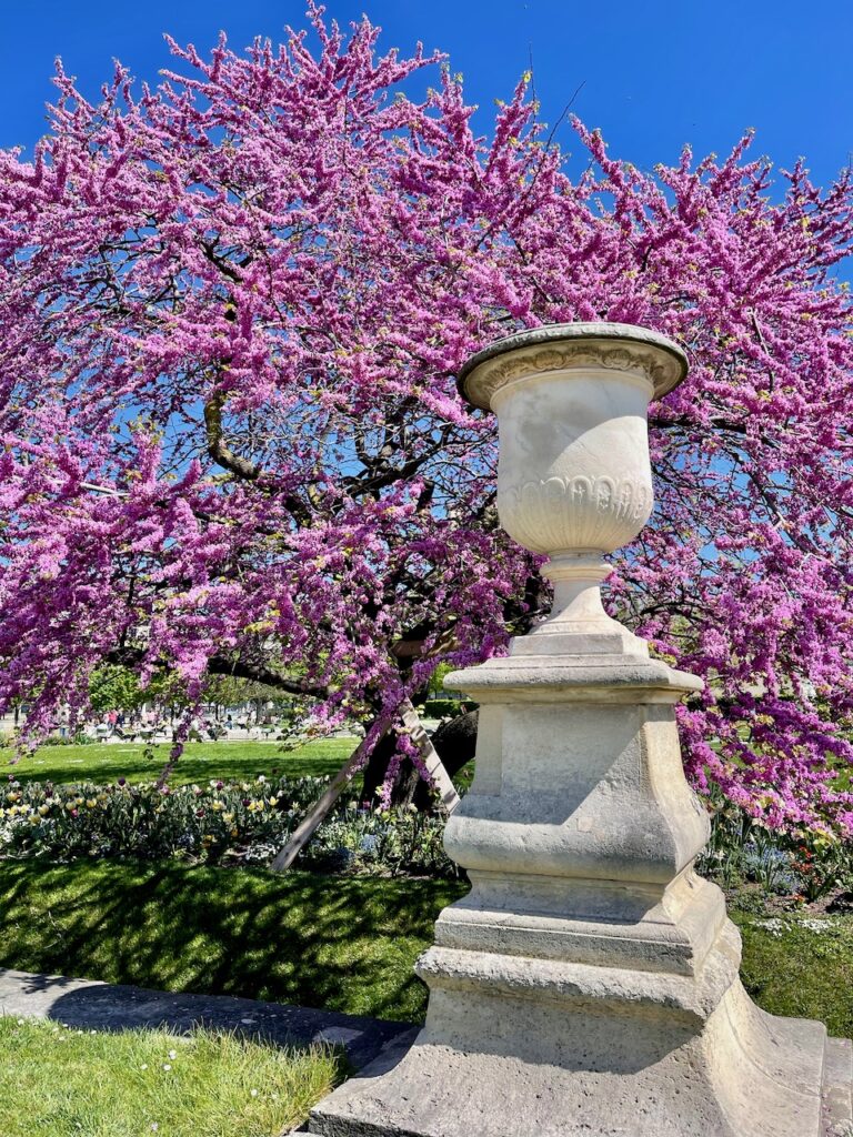 Jardin des Tueleries