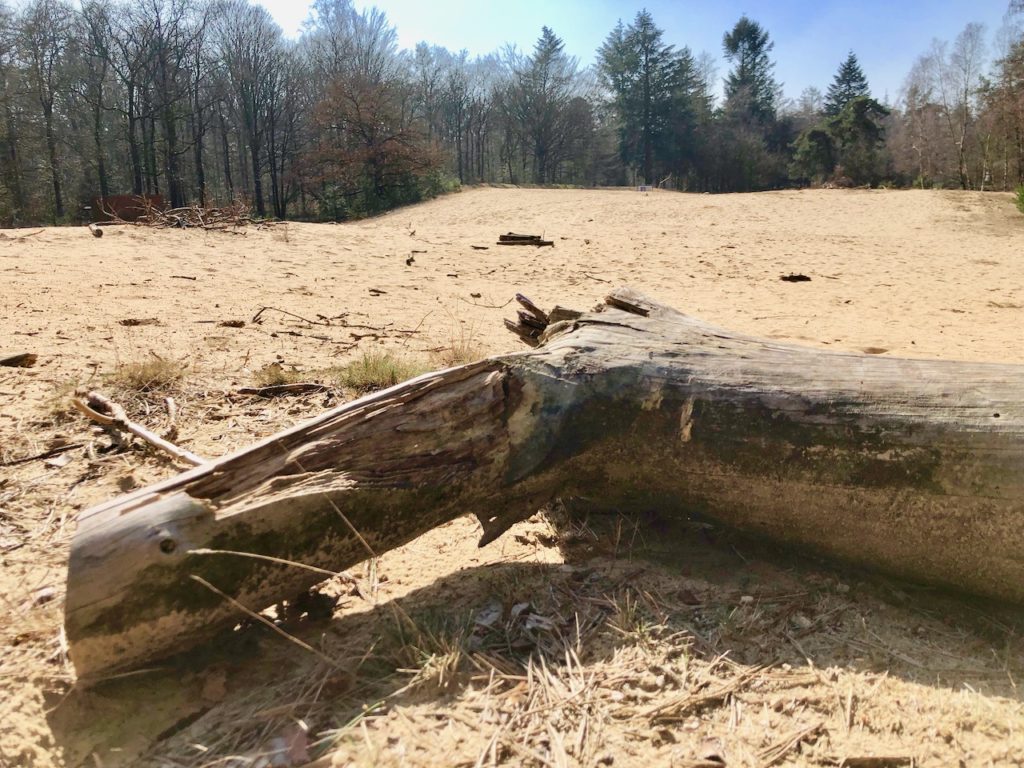 Hoge Veluwe Nationalpark