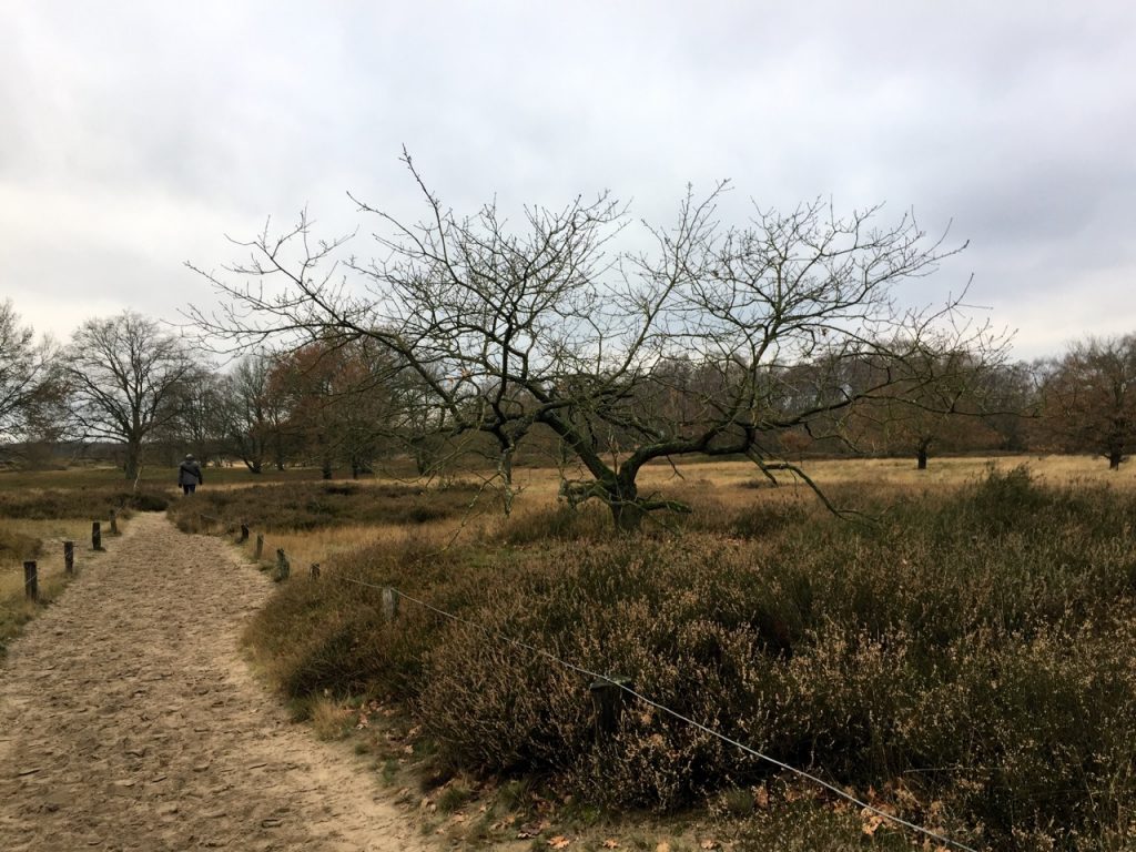 Wandertipp Hamburg: Naturschutzgebiet Boberger Dünen