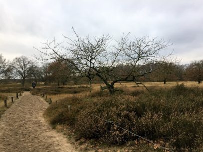 Ausflug Boberger Duenen