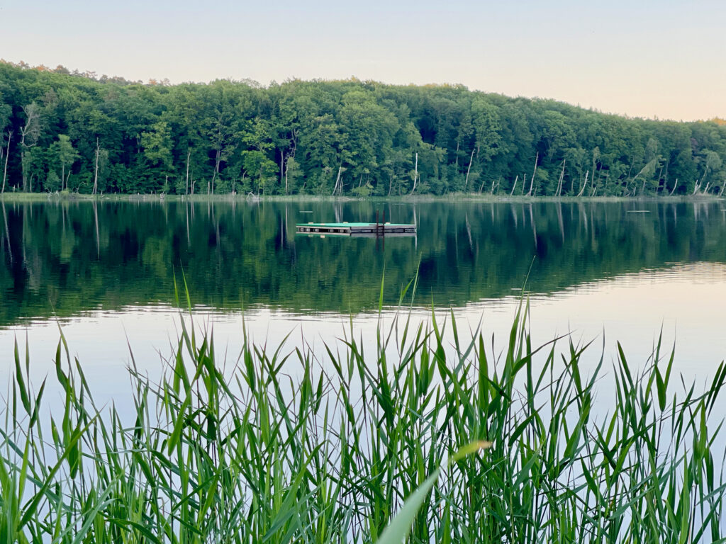 Wolgast See Usedom