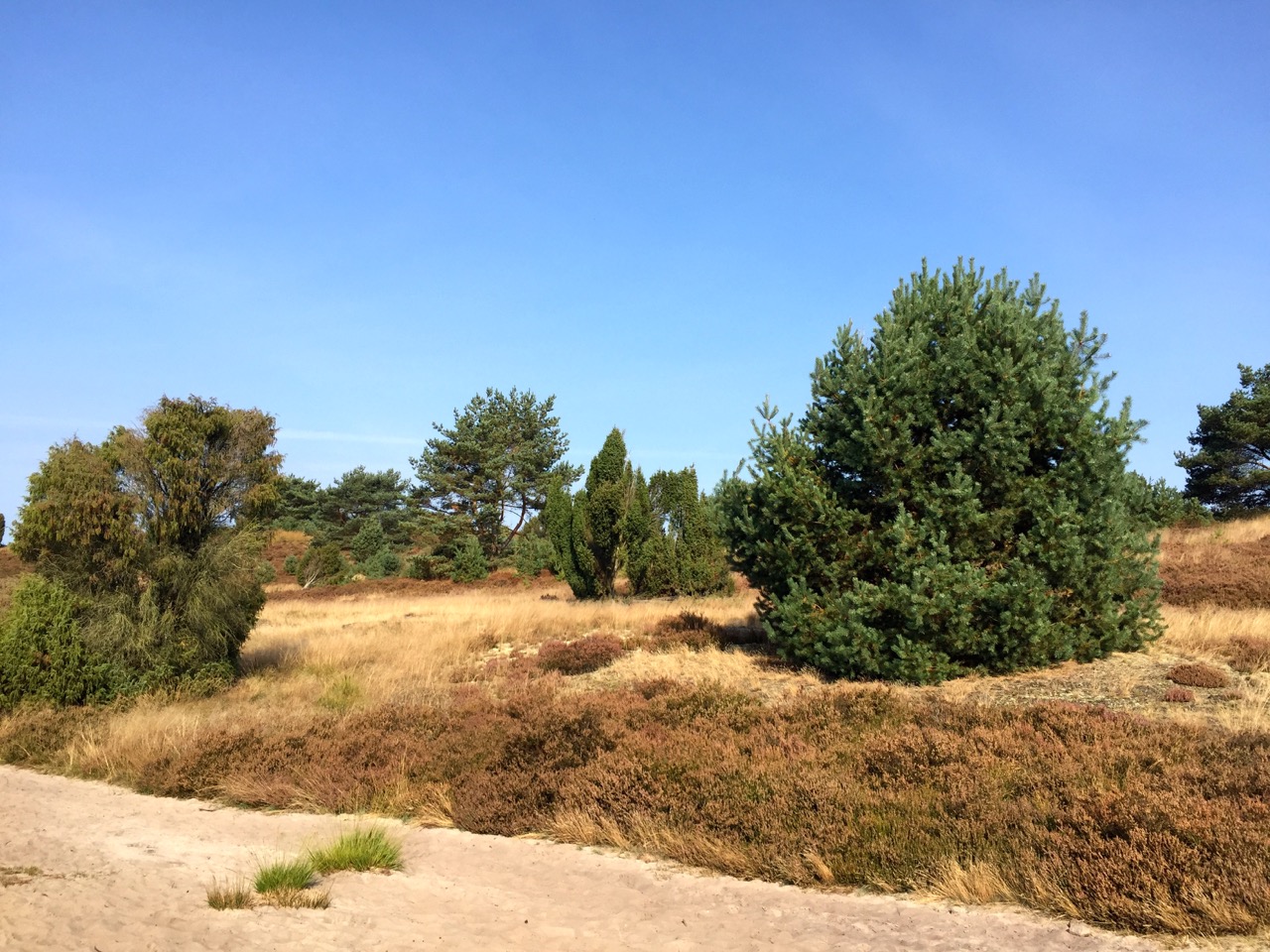 Abwechselungseiche Landschaft entlang des Heidschnuckenweg