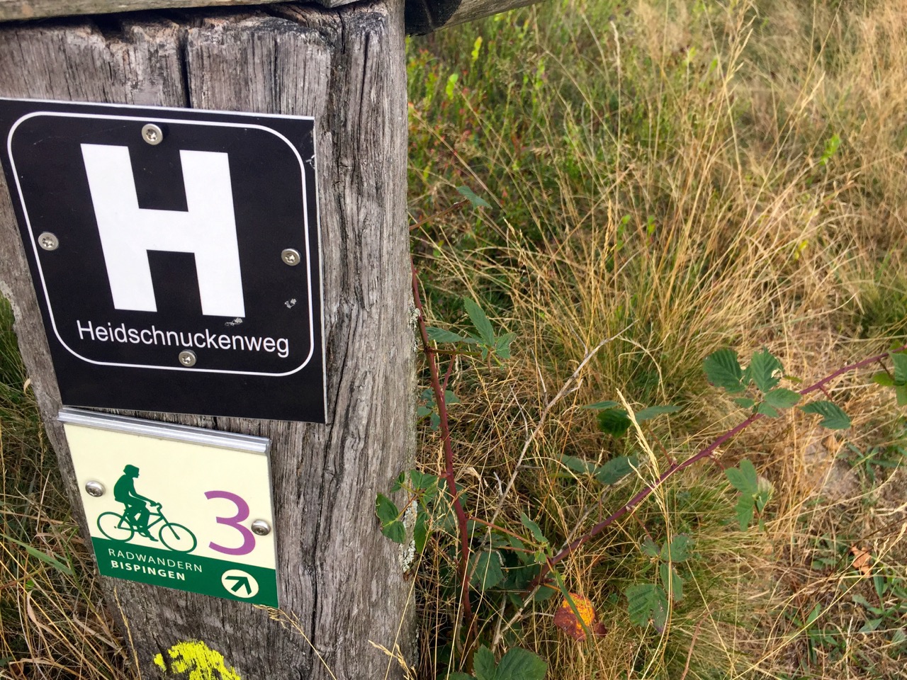 Unterwegs auf dem Heidschnuckenweg wandern