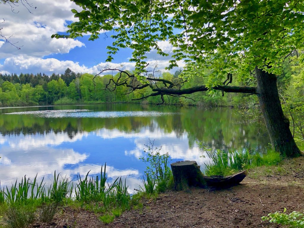 Fruehling mit allen Sinnen