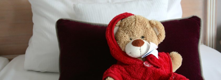 Teddy aus dem Romantischen Winkel - Spa & Wellness Resort