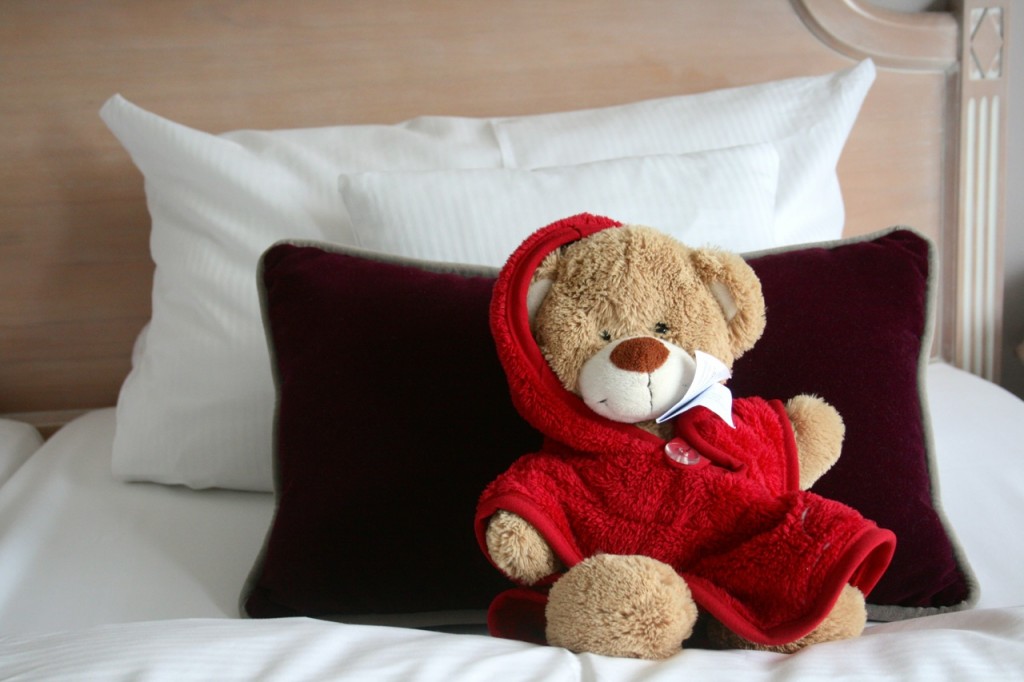 Teddy aus dem Romantischen Winkel - Spa & Wellness Resort