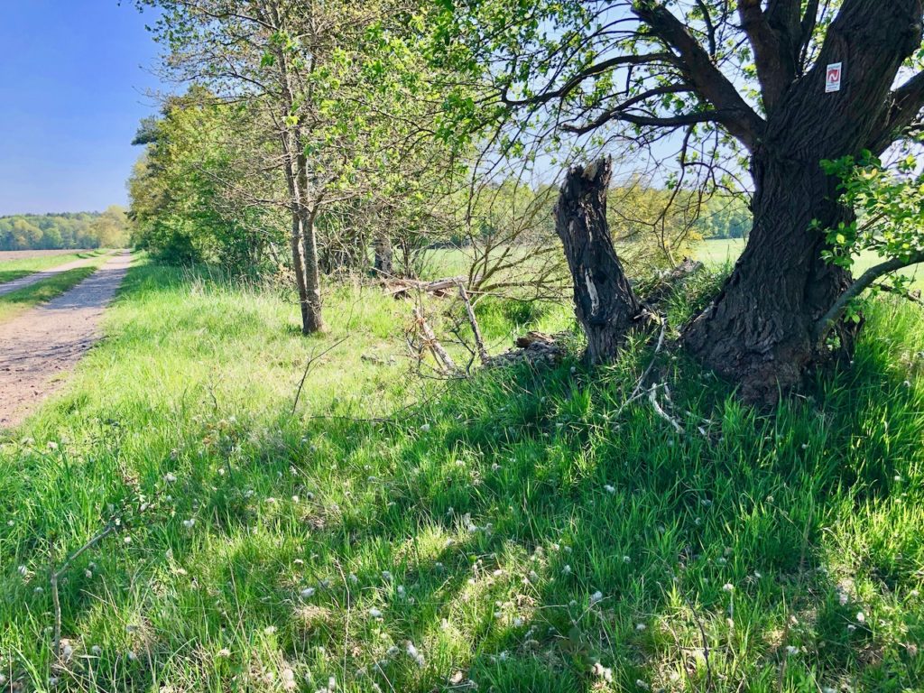 Nordpfade Elm Hinterholz und Hohenmmoor