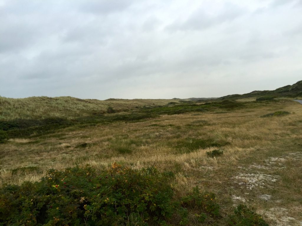 Aussichtspunkte und idyllische Rastplätze in den Dünen auf Langeoog