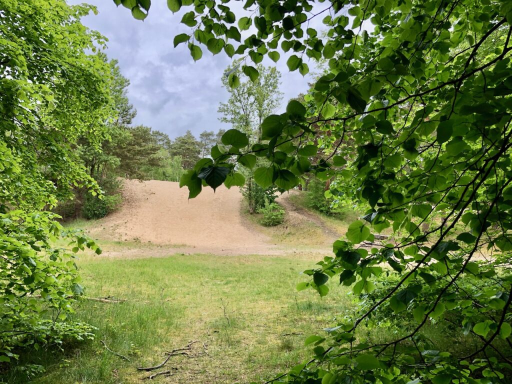 Besenhorster Sandberge und Elbsandwiesen