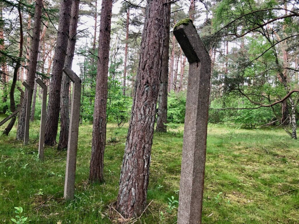 Lost Places Schleswig Holstein Ruinenwald