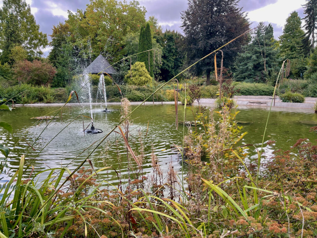 Kurpark Brilon, am Teich mit Wasserfontaene