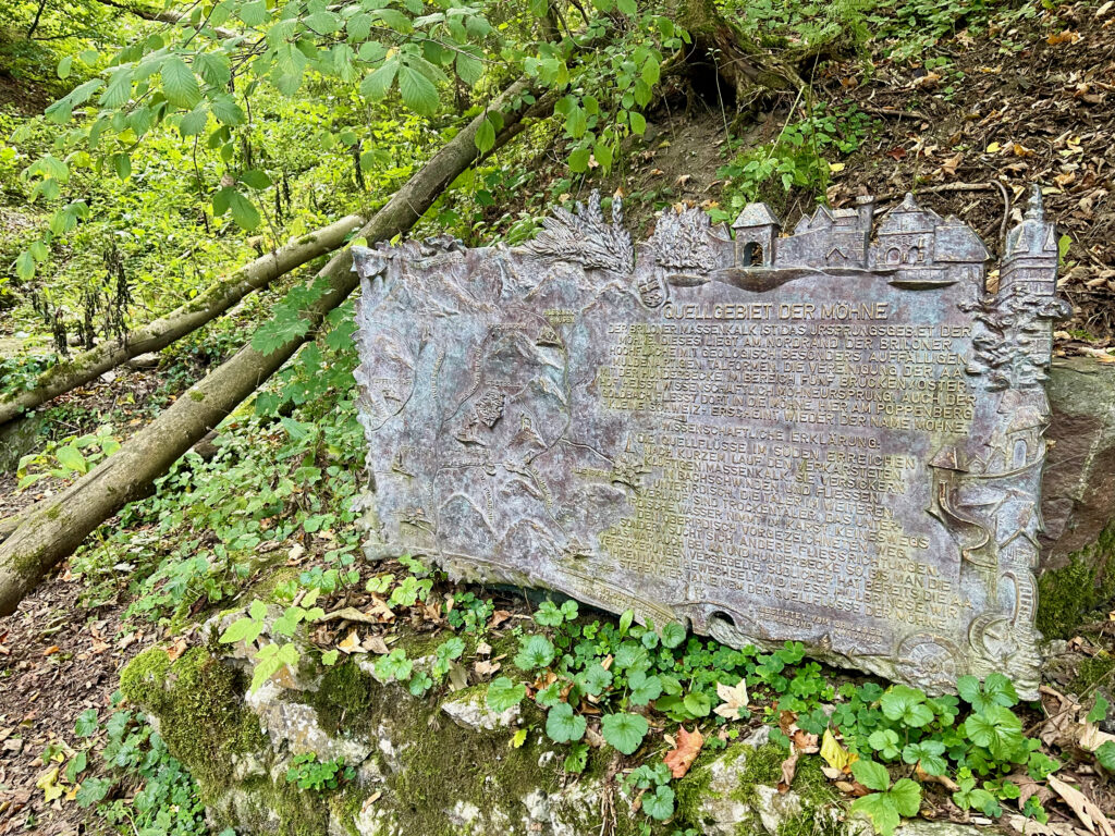 Moehnequelle Brilon, Sehenswuerdigkeiten im Wald