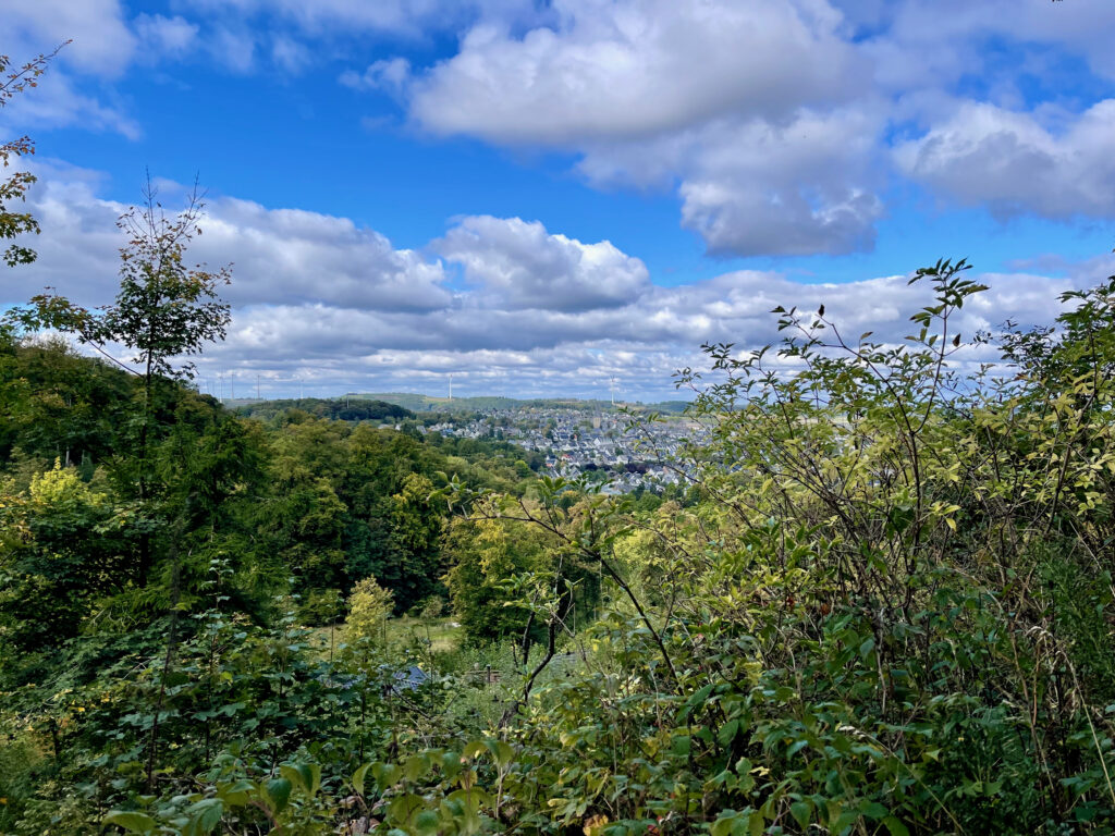 Brilon Sehenswuerdigkeiten, Blick ueber den Wald auf Brilon
