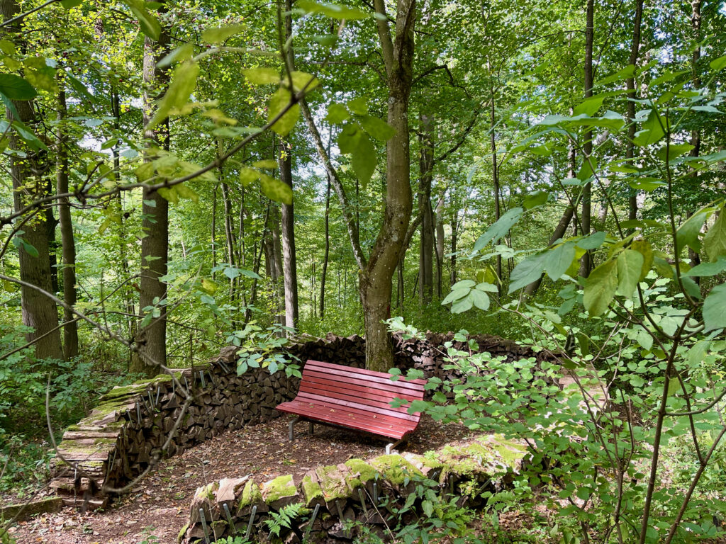 Sauerland Seelenorte in Brilon, unterwegs auf dem landschaftstherpeutischen Weg