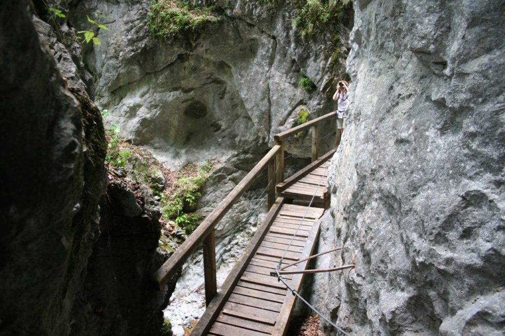 Falkenschlucht wandern