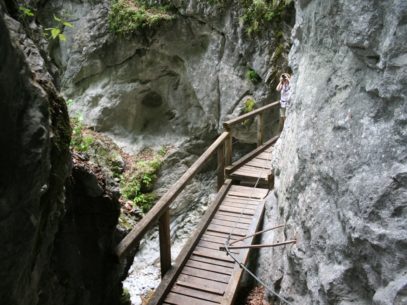 Falkenschlucht wandern