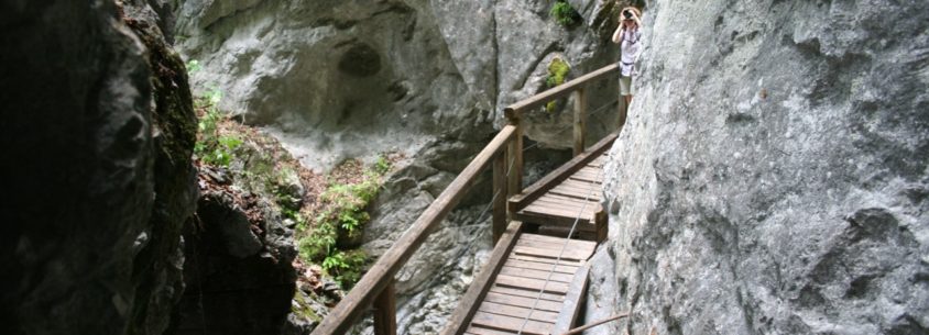 Falkenschlucht wandern