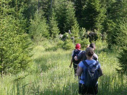 Wandern - ein sanfter Ausdauersport