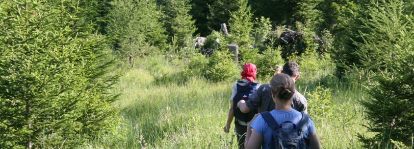 Wandern - ein sanfter Ausdauersport