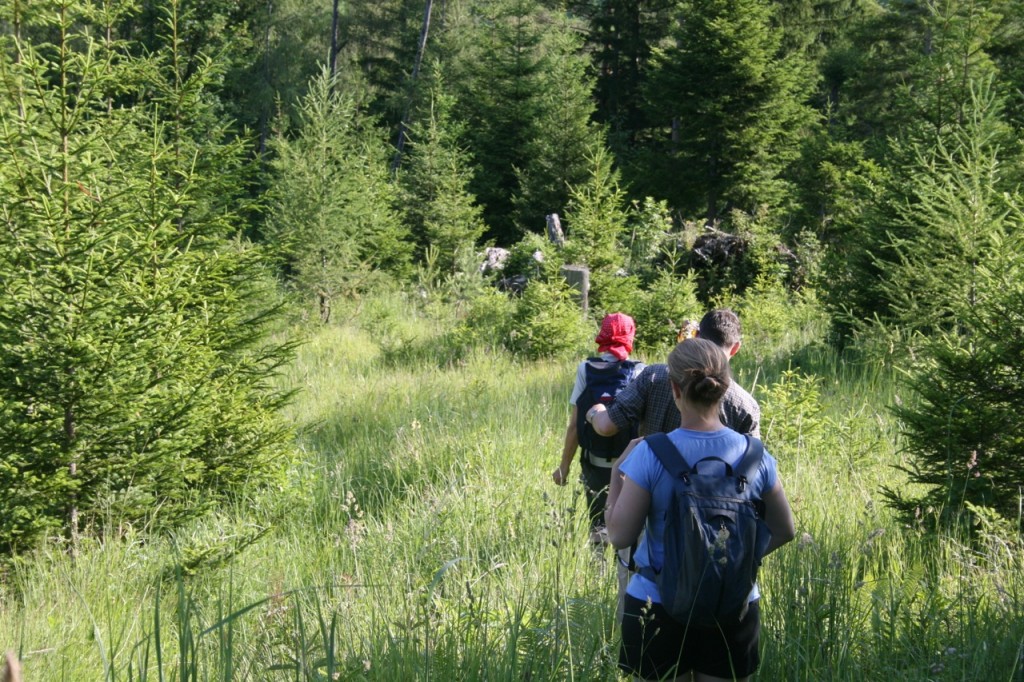 Wandern - ein sanfter Ausdauersport