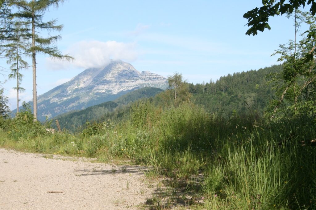 Naturpark Oetscher-Tormaeuer Niederoesterreich