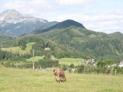 Mostviertel Österreich: Pilgern & (keine) Berge - das charmante Missverständnis