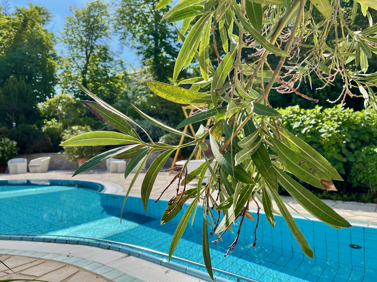 Bad Wildungen Wellness: Kuschelkurs auf Gesundheitsurlaub
