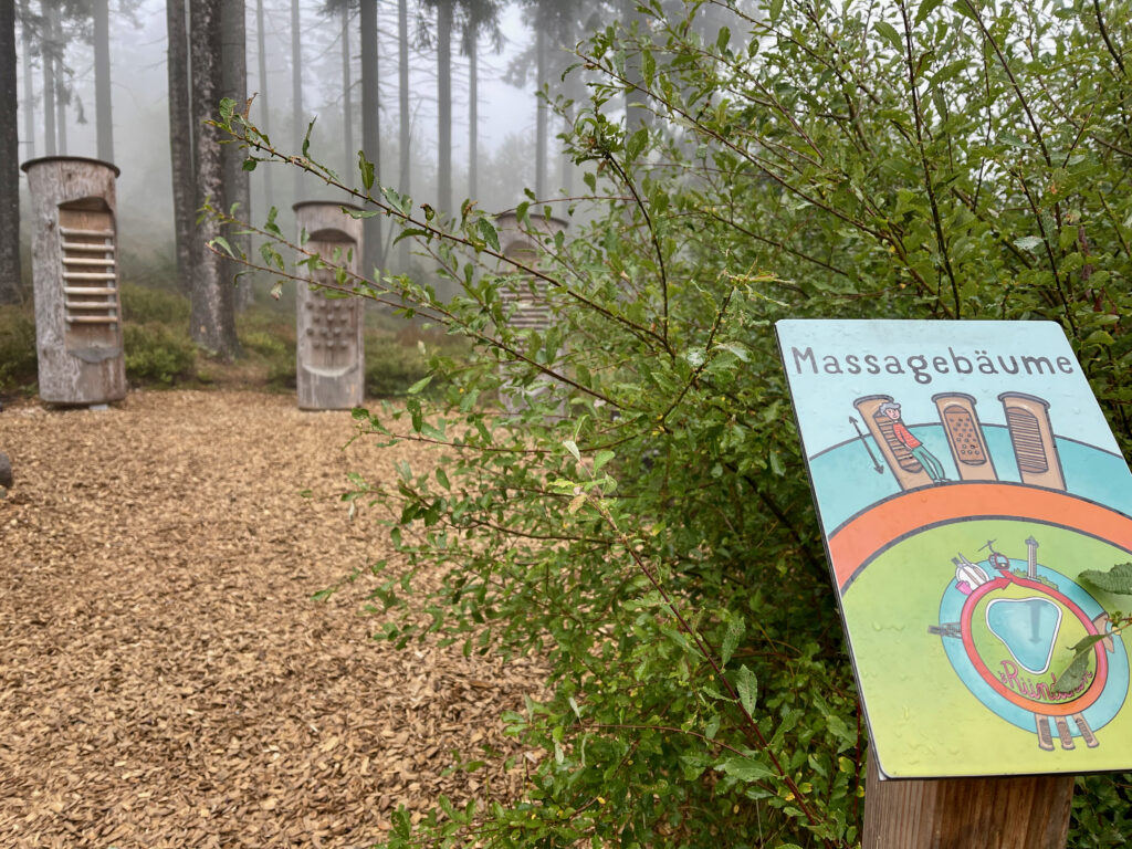 Massagebaeume auf der Wanderung vom Hochheideturm zum Skywalk Willingen
