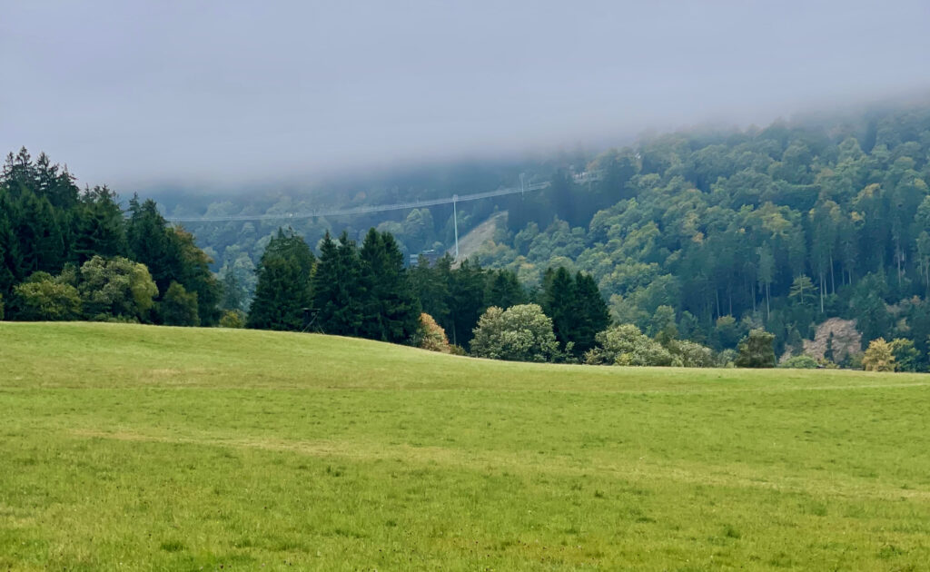 Willingen 2 Tage: Tipps, Infos, Programmpunkte - Blick ueber Wiesen zur Haengebruecke Willingen Skywalk