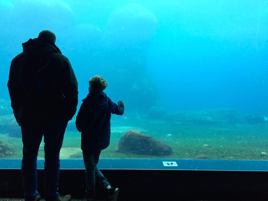 Aquarium Hamburg bei Hagenbeck