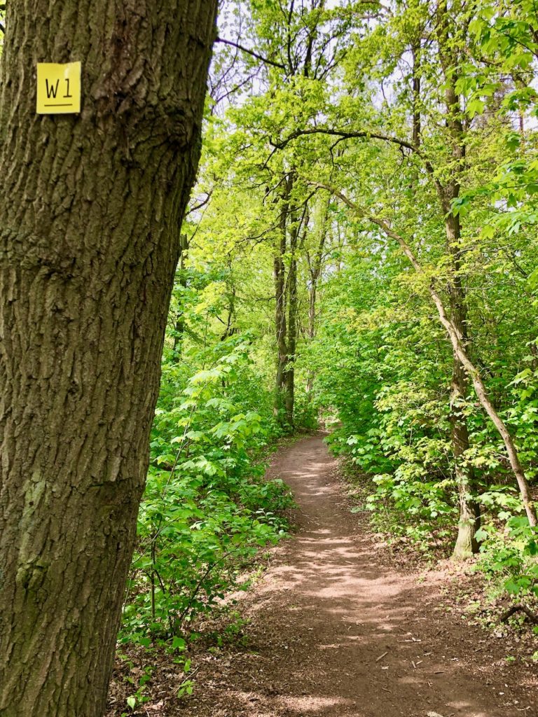 Estewanderweg Moisburg Buxtehude