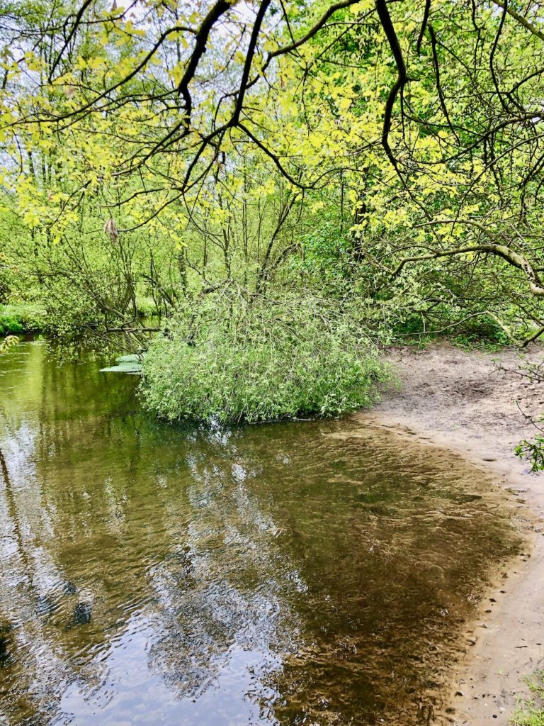 Estewanderweg Cranz Moisburg