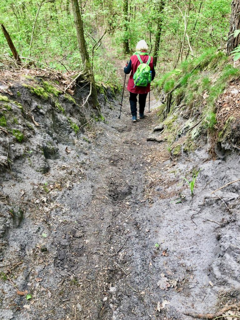 Estewanderweg Burgwall