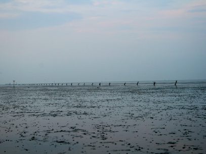 Blick auf das Watt der Nordsee