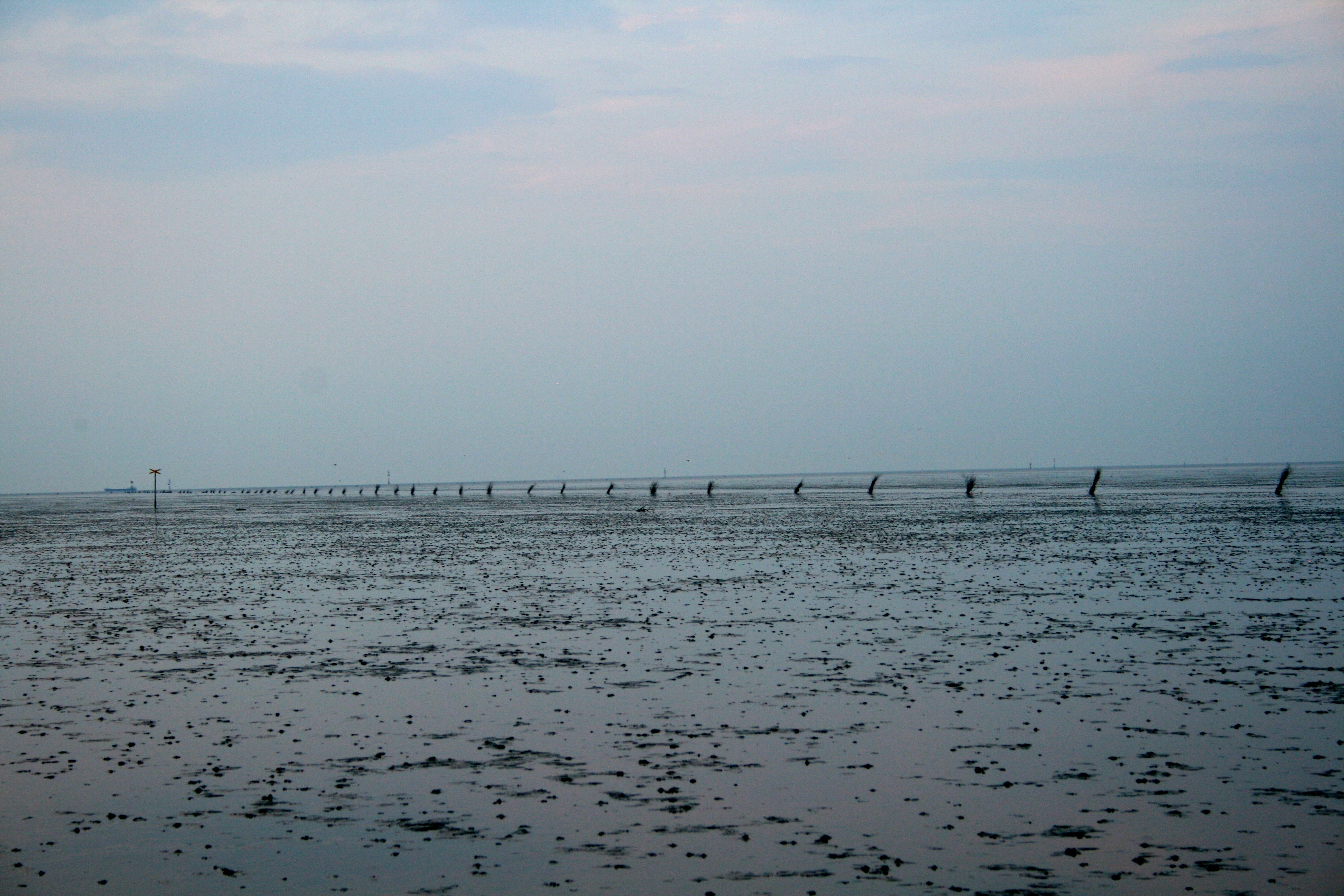 Blick auf das Watt der Nordsee