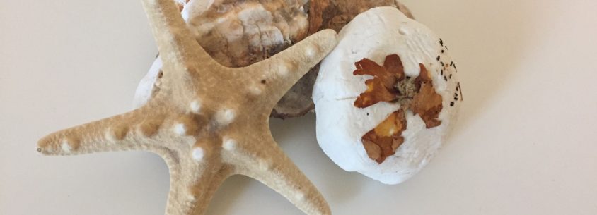 DIY Home Spa Produkte - Badekugeln selber machen