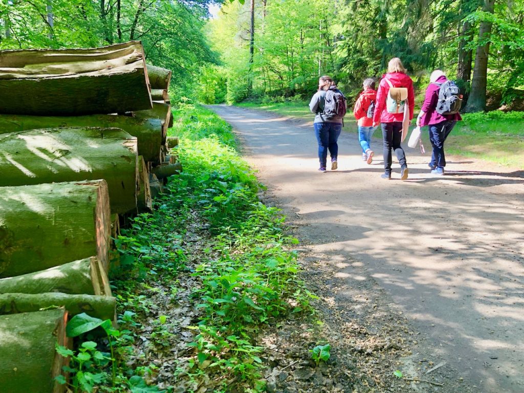 Waldbaden Hahnheide Kreis Stormarn