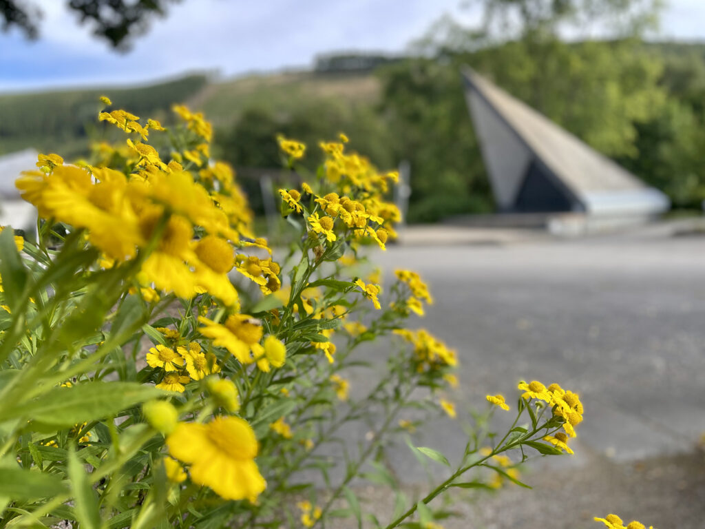 Unterwegs im Kurpark Saalhausen im Sauerland