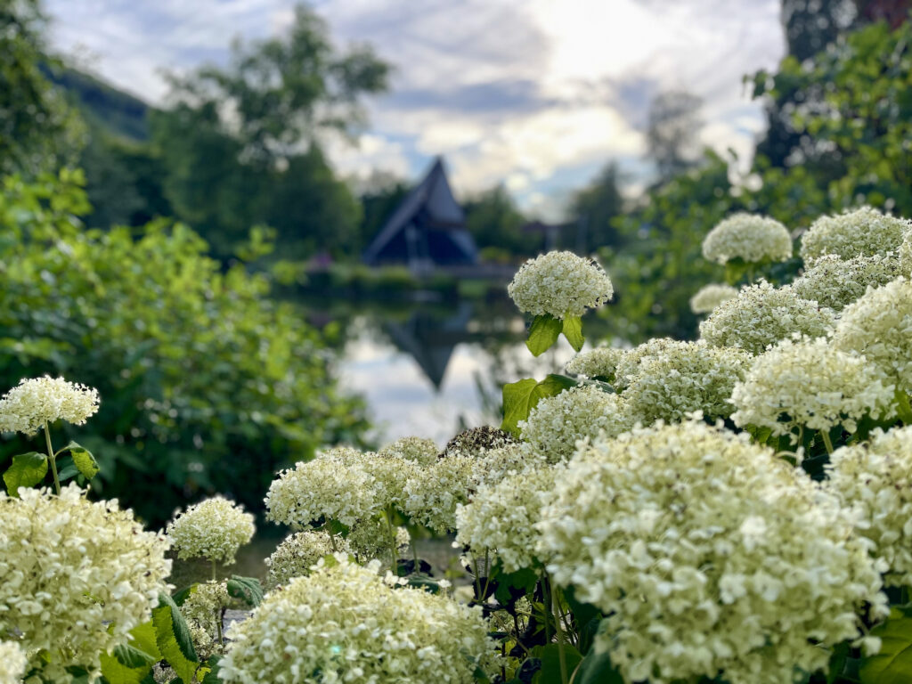 Kurpark Talvital Saalhausen an der Konzertmuschel mit Blick ueber ueppige Blumenstauden