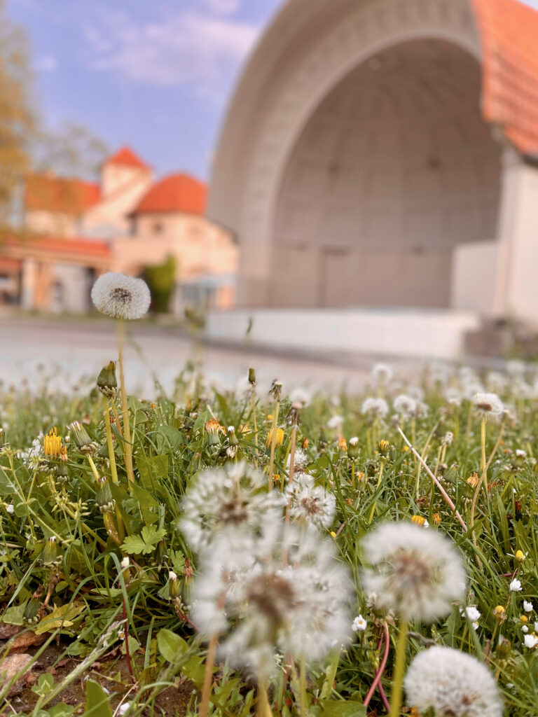 Konzertmuschel Rosengarten Bad Nauheim