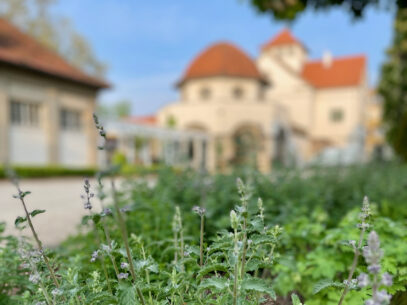 Bad Nauheim Sehenswuerdigkeiten